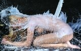 Pictures  Erotic
